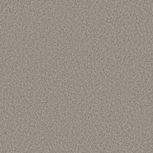 TWEED COMFORT I by Shaw Floors - Stand Out