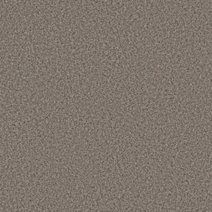 TWEED COMFORT I by Shaw Floors - Pop Star