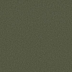TONAL COMFORT BLUE by Shaw Floors - Olive Grove