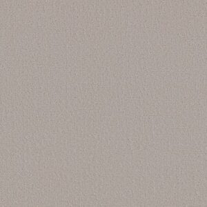 CANVAS COMFORT by Shaw Floors - Shoreline Haze