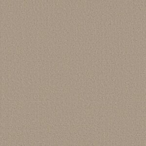 CANVAS COMFORT by Shaw Floors - My Haven