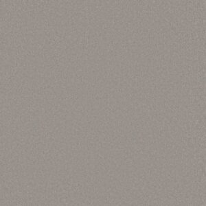 AWAKEN SPIRIT II 12' by Shaw Floors - Subtle Touch