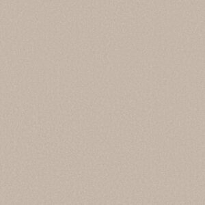 AWAKEN SPIRIT I by Shaw Floors - Spun Wool