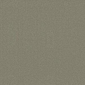AWAKEN SPIRIT I by Shaw Floors - Silver Sage