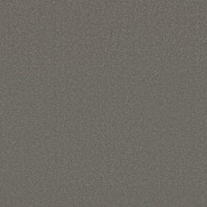 AWAKEN SPIRIT I by Shaw Floors - Taupetone