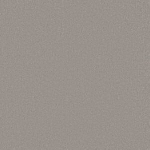 AWAKEN SPIRIT II 15' by Shaw Floors - Subtle Touch