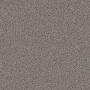 NEW ATTITUDE by Shaw Floors - Meteor