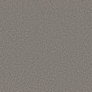 REMIXED CLASSIC by Shaw Floors - Antique Pewter