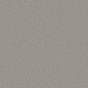 RENEWED ENERGY II by Shaw Floors - Thin Ice