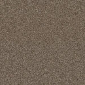 RENEWED ENERGY II by Shaw Floors - Freckles