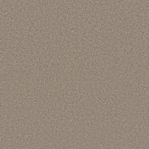 TRUSOLUTIONS I by Shaw Floors - Beach Cabana