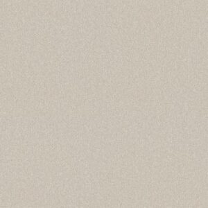 YOUR COMFORT I by Shaw Floors - Champagne Toast