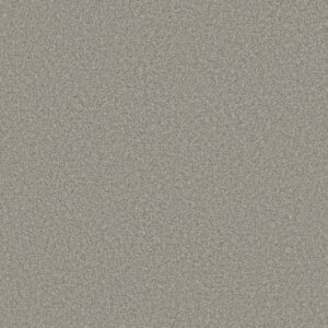 TRUSOLUTIONS III by Shaw Floors - Concrete