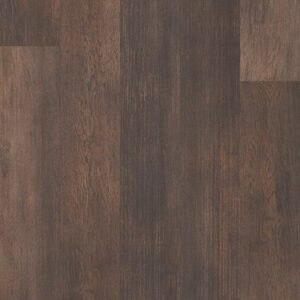 Symbiotic 5.0 by Shaw Floors - Thicket
