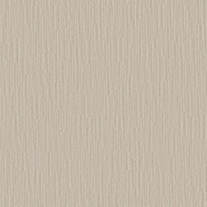 MAKING MEMORIES by Shaw Floors - Champagne Toast