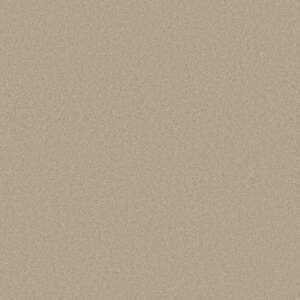 TONAL COMFORT II by Shaw Floors - Sand Castle