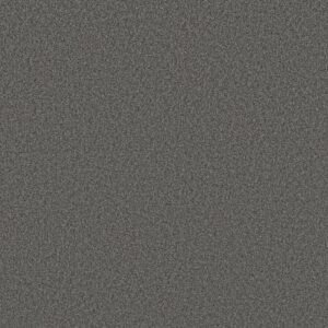 TONAL COMFORT II by Shaw Floors - Power Suit