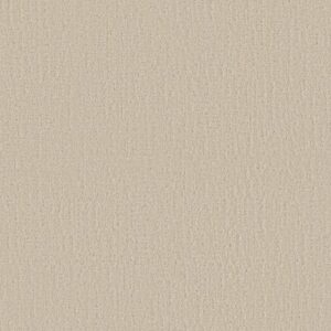 ENDLESS MEMORIES by Shaw Floors - Happy Place