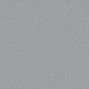 CANVAS COMFORT BLUE by Shaw Floors - Polished Silver