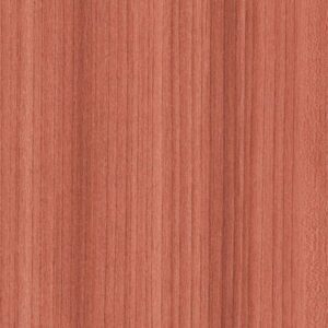 Color Range 30 by Shaw Floors - Coral