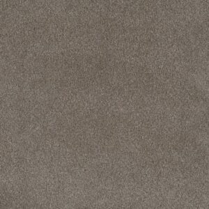 PALMETTO II by Dreamweaver - Vienna 2303