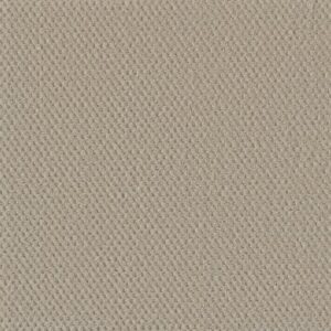 MOON BAY by Dreamweaver - Champagne Fizz 6309