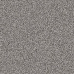 ELEVATED II by Shaw Floors - London Fog