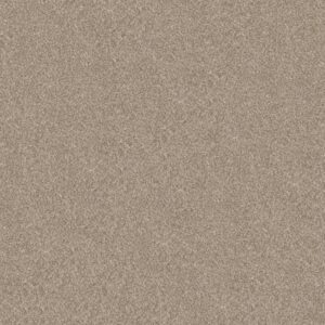 ELEVATED III by Shaw Floors - Soft Sand