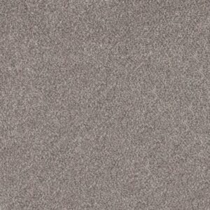 SOFT EFFERVESCENCE by Shaw Floors - Oxford
