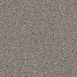 SOFT RADIANCE by Shaw Floors - Oxford