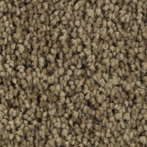 Soft Outlook by Mohawk - November Foliage