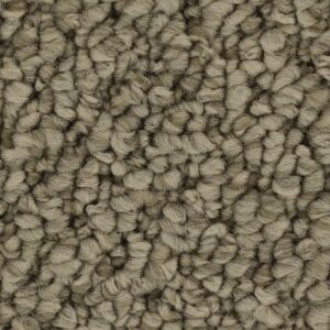 Cozy Classic by Mohawk - Taupe Whisper