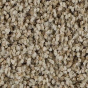 Soft Aspect by Mohawk - Quiet Beige