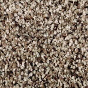 Softly Elegant I by Mohawk - Caramel Ripple