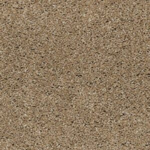 Natural Refinement I by Mohawk - Hearth Beige