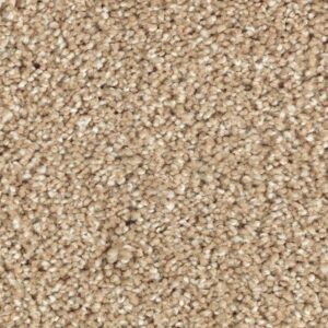 Natural Refinement I by Mohawk - Natural Grain