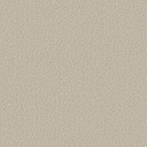 CLEVER BLEND by Shaw Floors - Warm Light