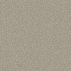 CLEVER CHOICE by Shaw Floors - Sandstone