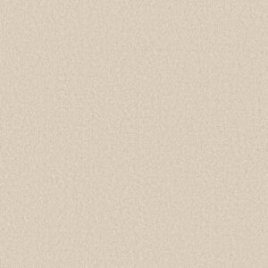 LAS CRUCES by Shaw Floors - Polar Bear