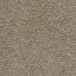 LAS CRUCES by Shaw Floors - Hickory