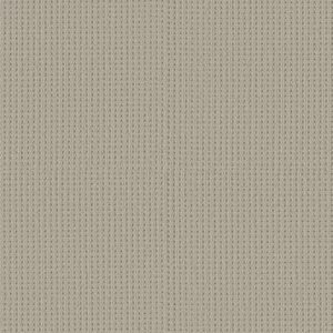 SAN ANTONIO by Shaw Floors - Plymouth