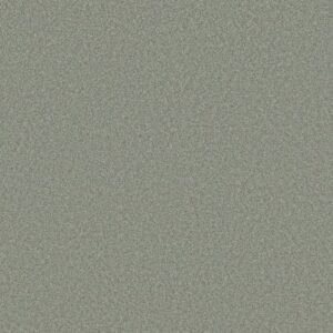 DEL RIO I by Shaw Floors - Water'S Edge