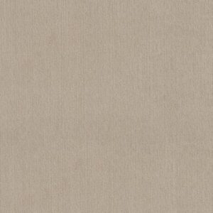 CEDAR CITY by Shaw Floors - Passageway