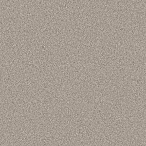 PRESCOTT VALLEY by Shaw Floors - Shoreline Haze