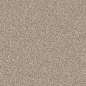 PRESCOTT VALLEY by Shaw Floors - Meditation