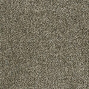 BRAZEN I by Dreamweaver - Feather Soft 497