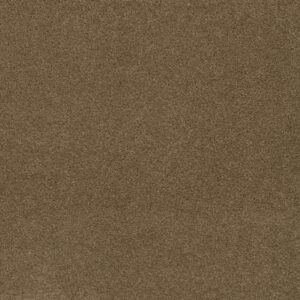 SHOWTIME by Dreamweaver - Honey Beige 510