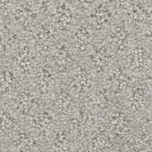 HARBOUR TOWN by Dreamweaver - Silver Birch 800