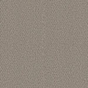 STONEBROOK by Shaw Floors - Weathered Wood