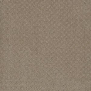 STELLAR by Dreamweaver - Warm Sand 6339
